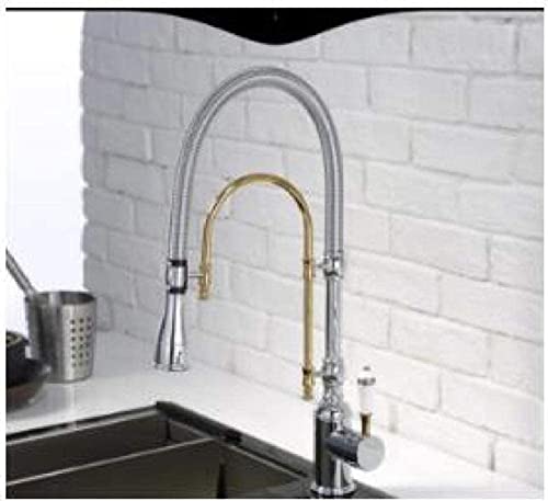 [sAX^C^JS[hdグLb`֌oMʊXvOVN~LT[@\]-S[h(Chrome and Gold)