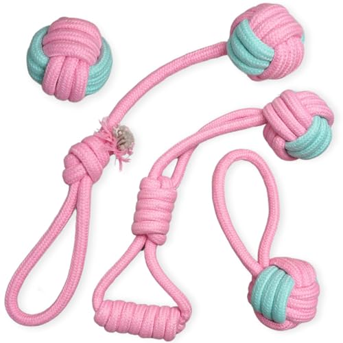 2ME q[vgC Ɗ - ׂĂ̌ƃTCY̌̂߂4̓VRRbgj[v