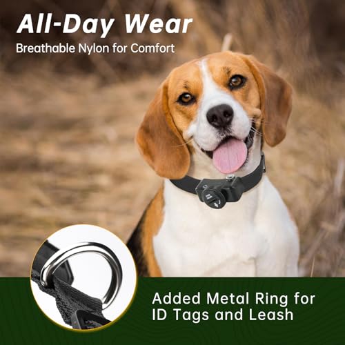 Expert Tips for PetSafe Replacement Collar Use