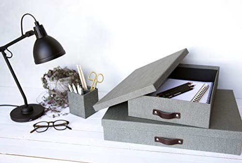 Bigso Sverker Caixa de armazenamento de tela legal/arte para quadro de fibra, 8,3 x 43,4 x 31 cm, ci