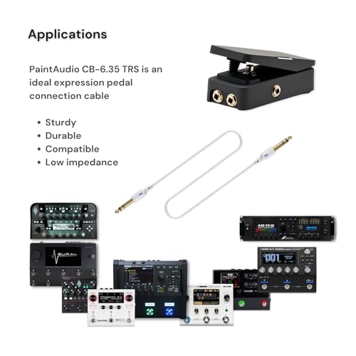 Cable PAINTAUDIO TRS 6.35mm macho a macho 3.3 pies miniatura 3