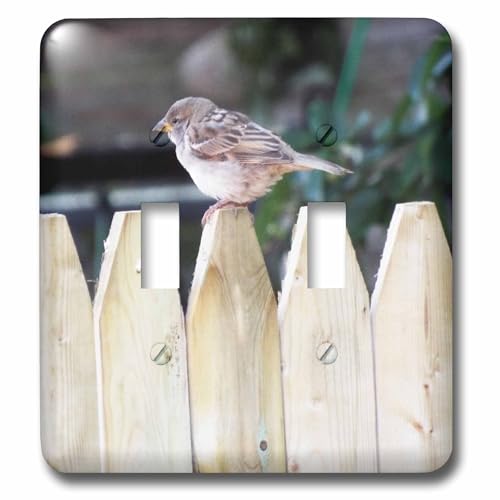 Interrupteur pour clôture multicolore 3dRose lsp_165220_2 décoration murale
