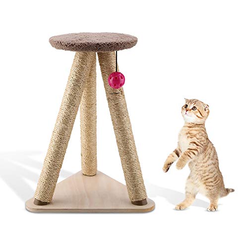 Junlucki Arranhador gatinho escalando, casa de animais de estimação de cor brilhante e durável, para