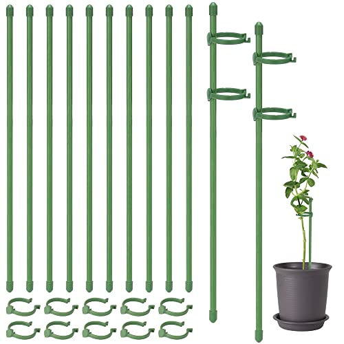 10 Pack Plant Support Stakes Adjustable Garden Single Stem Floral Flower Support Stake Plant Cage Support Rings For Orchid Rose Peony Amaryllis Tomatoes Vegetable (16 Inch) #TOP30