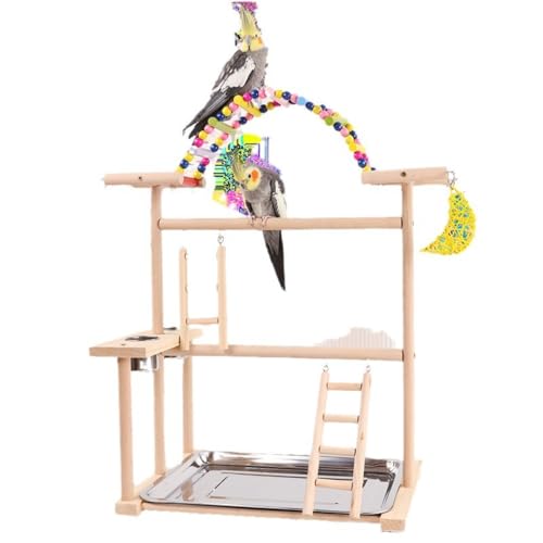 TIKHJ   Vѓ uR ~܂ ͂ ؐ {[  o[hgC X^h CR IE 