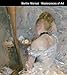 Berthe Morisot Masterpieces of Art