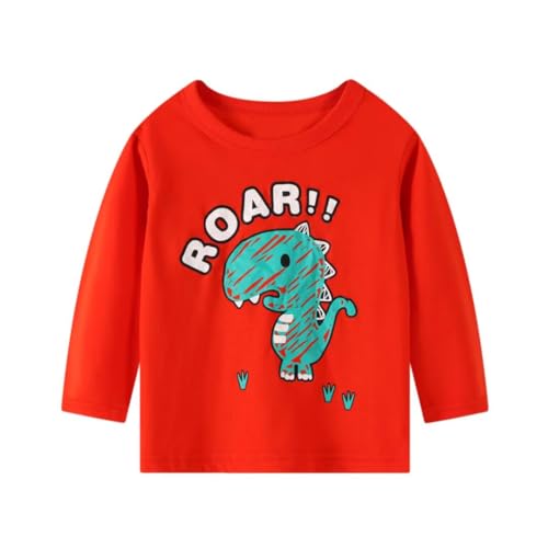 Toddler Boy Long Sleeve Shirts Kids Cotton Fall Top Crewneck Clothes 2-7 Years4