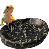 XIOFU Natural River Stone Reptile Food Bowl - Handmade Pebble Dish for Reptiles, Amphibians, Hedgehogs, and Small Pets - Unique Size, Shape & Color - Water & Food Bowl (Black)