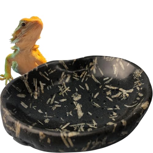 XIOFU Natural River Stone Reptile Food Bowl - Handmade Pebble Dish for Reptiles, Amphibians, Hedgehogs, and Small Pets - Unique Size, Shape & Color - Water & Food Bowl (Black)