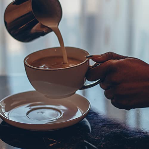 image for Dicunoy Milk Butter Warmer Pot, 1qt Turkish Coffee Pot with Spout, Lar