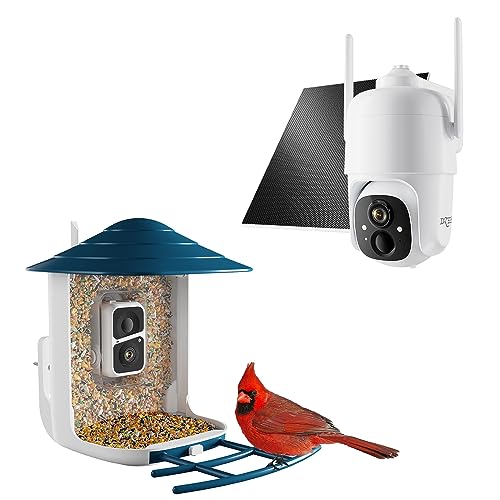 Dzees Solar Bird Feeder