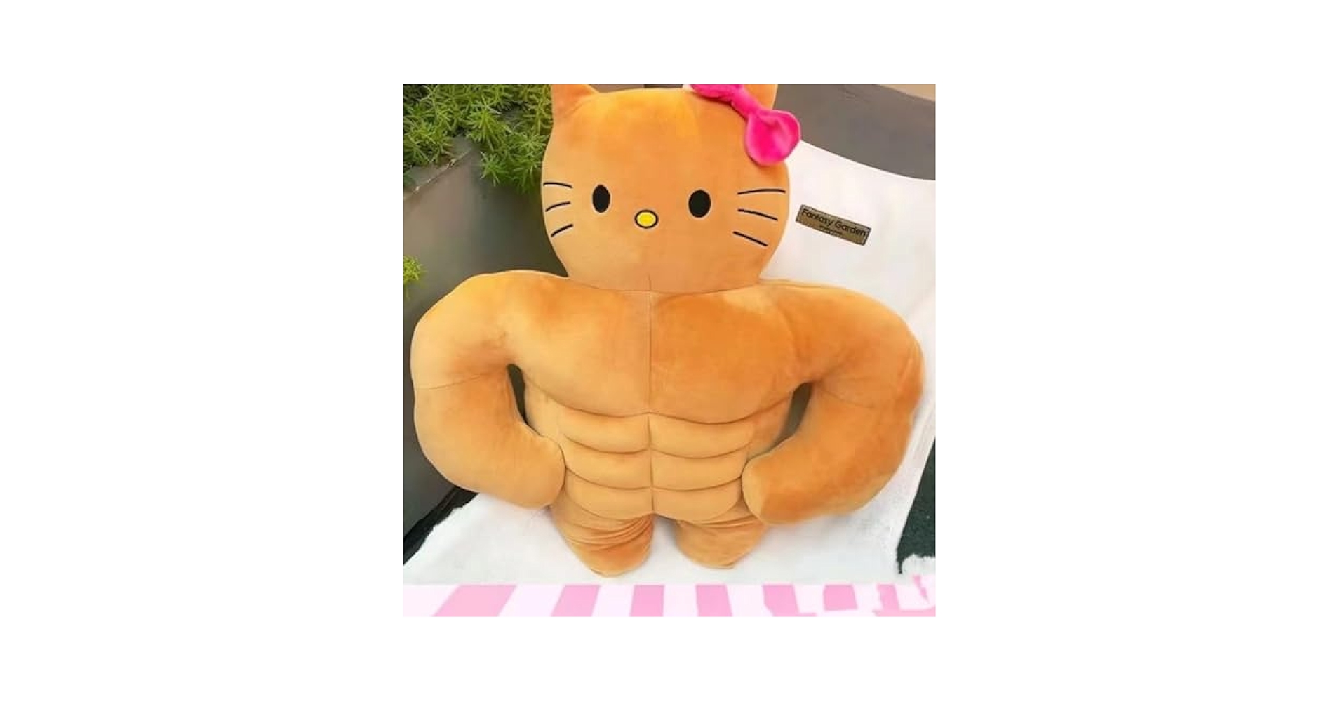 Amazon.co.jp: マッスル キャット ぬいぐるみ 各種サイズ キティ