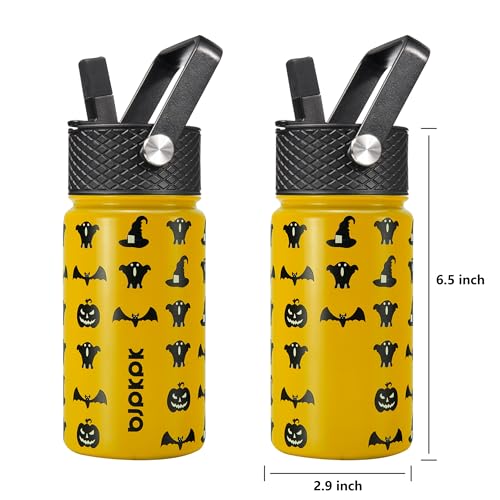 Image of BJPKPK Insulated Water Bottle, 15oz Stainless Steel with Straw Lid