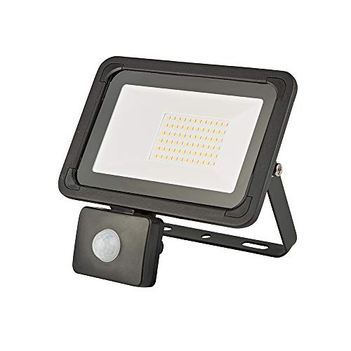 Biard Proyector de Seguridad LED Exteriores - Fácil de Instalar, Resistente al Agua, con Sensor de Movimiento PIR - Protección IP65 Ideal para Jardín, Patio, Garaje, Almacén y Patio