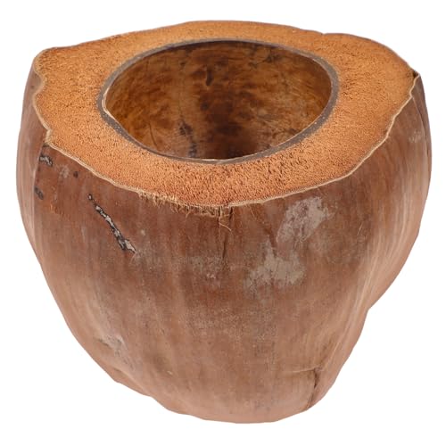 NUOLUX ココナッツシェル製ボウル 軽量耐久 食器用広口デザイン 多用途収納 インテリアにも ホーム レストラン カフェ向け