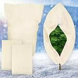 How to Protect Planters From Freezing (2026): Step-by-Step