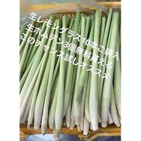 生レモングラス300g約+生ホムデン200g約お得セット。コブミカンおまけ 生レモングラス300g約+生ホムデン200g約お得セット。コブミカン