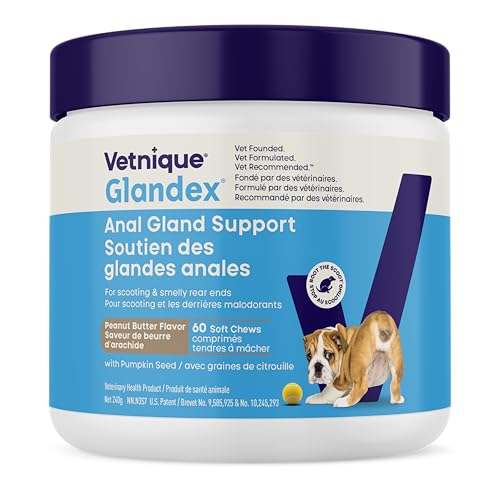 Glandex Anal Gland Soft Chew Treats with Pumpkin for Dogs Chews with Digestive Enzymes, Probiotics Fiber Supplement for Dogs – Vet Recommended - Boot The Scoot (Peanut Butter, 60ct Chews)