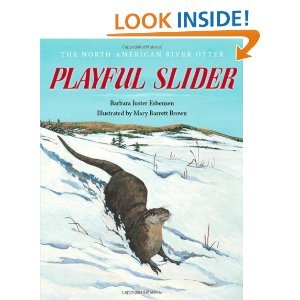 Playful Slider: The North American River Otter 0316249777 Book Cover