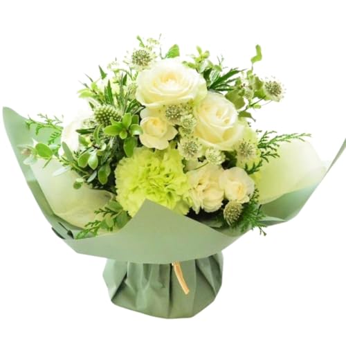 ARNEiAlj bsÔ܂܏ԑ zCgnibsOFO[j  ؂ a X^fBOu[P t[Mtg j v[g ꐶ bsÔ܂܏ԑ zCgn ibsOFO[j