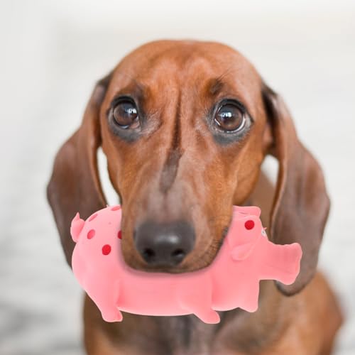 Juguete mordible con sonido POPETPOP para perros miniatura 2