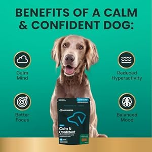 VETRISCIENCE Calm Confident Chews Composure Clinically Tested Calming Anxiety Supplement for Dogs Reduce Stress Fear Ideal for Thunderstorms Fireworks Travel Chicken 60 Count