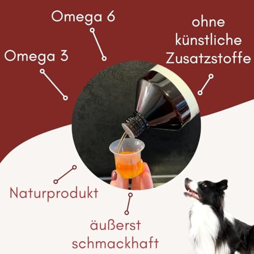 1 Liter Premium Lachsöl für Hunde mit Omega 3 und Omega 6 Fettsäuren – Fischöl für den Hund & Katze – Barf Lachs für Welpen Adulte Senioren, Katzen & Sporthunde