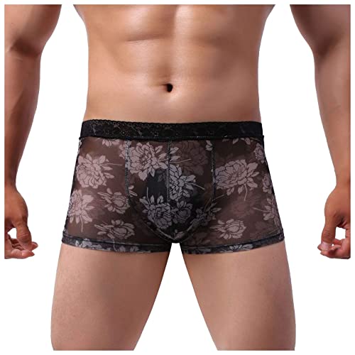 KJIOLMLK Sexy Men Boxers Shorts Printed Flower Lace Underwear Men's Printed Transparent Lace Breathable Floral Briefs