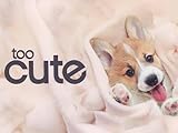Too Cute! Season 1