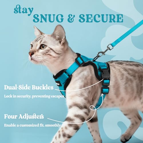 Image of rabbitgoo Cat Harness and Leash Set, Escape Proof Vest, Teal