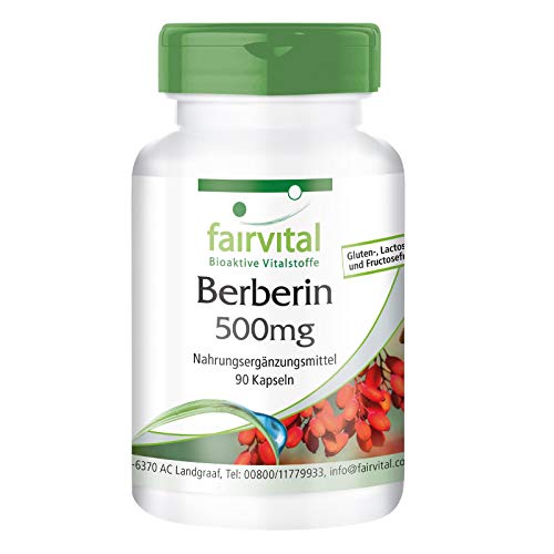 Berberin 500mg - HOCHDOSIERT - Berberin HCl + Zink - Berberis aristata - VEGAN - 90 Kapseln