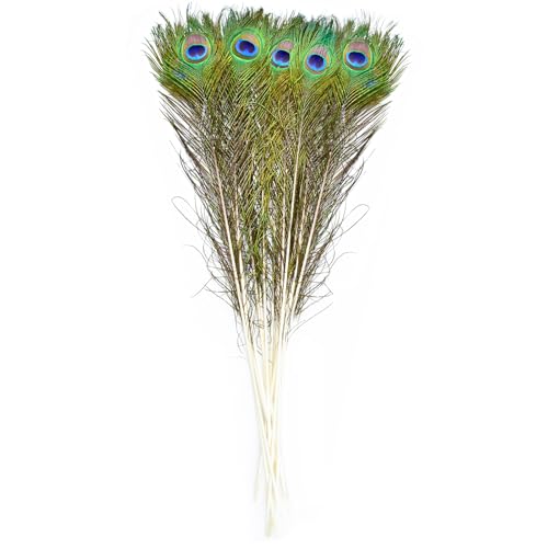 10 Stück Pfauenfedern Lang 80~90 cm31.5~35.4 inch Federn Groß Für für Zuhause Dekoration Hochzeit Basteln Vase
