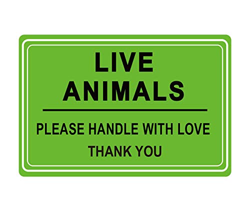 Live Animals Please Handle with Love Stickers 2 X 3 Inch - Fluorescent Green Fragile Shipping Stickers Handling Labels for Shipping and Packing 250 Adhesive Labels (Green, 2 x 3 inch)