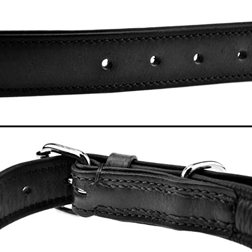 Schnüffelfreunde Halsband für Hunde aus Leder, Hundehalsband für den großen, mittleren und kleinen Hund, Lederhalsband gepolstert, robust (L - 36-45cm, Schwarz)