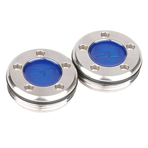 NA 2pcs Blue Number Golf Custom Weights for Titleist Scotty Cameron Newport Studio California Putters (2x20g)