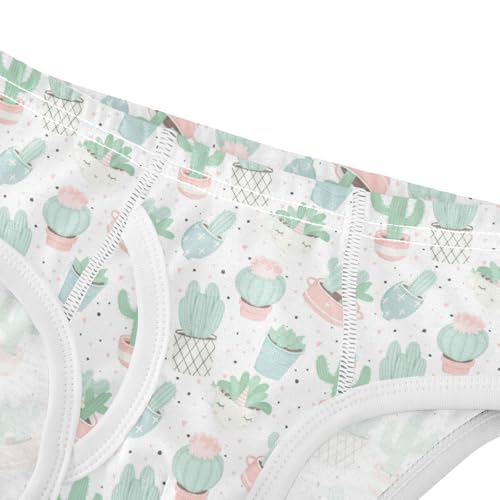 Boys' Exclusive Briefs Toddler Underwear 95% Combed Cotton Boxerbriefs 2T Cactus and Succulent Pattern 124