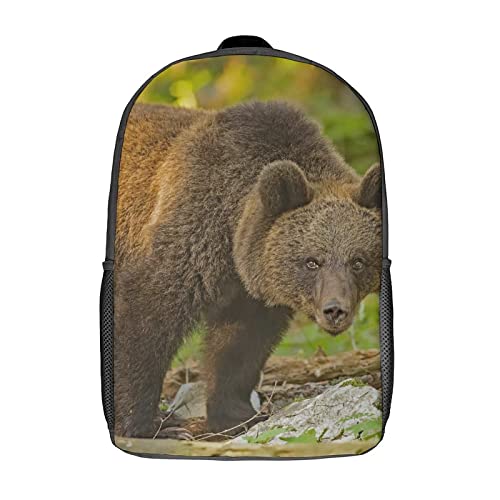 Sac à dos d'école Bear robuste contre les fermetures cassées et cahiers écrasés