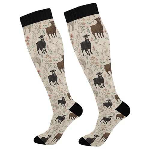 Image of Pigsaly Red White Polka Dot Womens Compression Socks Athletic Tube Sock Knee High Socks Outdoor Sport Socks