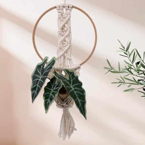Anneaux attrape-rêves en bois naturel pour création artisanale (lot de 10 pièces durables) - 4