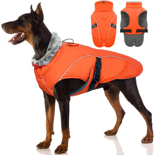 Wasserdichter Hundemantel, Winter Warme Hundejacke Winddicht Hundepullover Outdoor Hundemantel Bekleidung mit Sicheren Reflexstreifen(Orange, L)