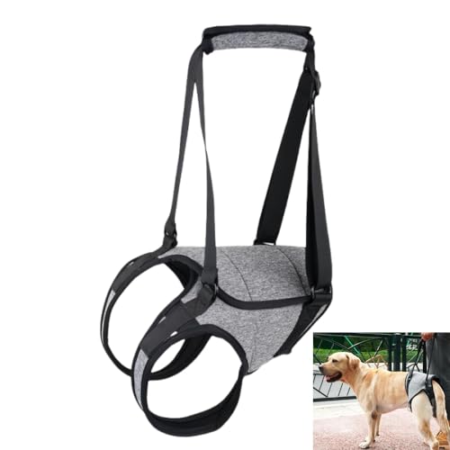 GYWHOOFT XL Imbracatura per cani di taglia grande, 26 a 40 kg imbracatura per sollevamento per zampe posteriori di supporto per aiutare a riabilitare gli arti posteriori di cani anziani