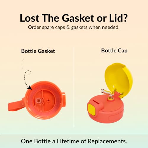 Image of rabitat Milo Personalized Stainless Steel Water Bottle 350ml | 2 Year Brand Warranty | BPA Free | Leakproof Steel Sipper Bottle for Kids | Flip Lock Lid with Straw | Easy Carry Handle Dino Dash