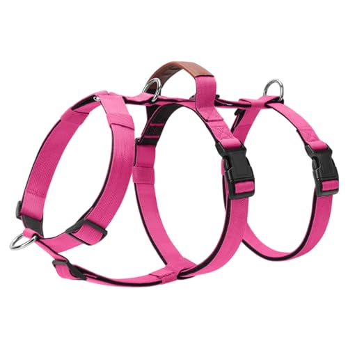 ���n�[�l�X�l�ԍH�w�Ɋ�Â����g���[�j���O�n�[�l�X���͂ȃw�r�[�f���[�e�B��^���p�\�t�g�n���h���t�����O�n�[�l�X