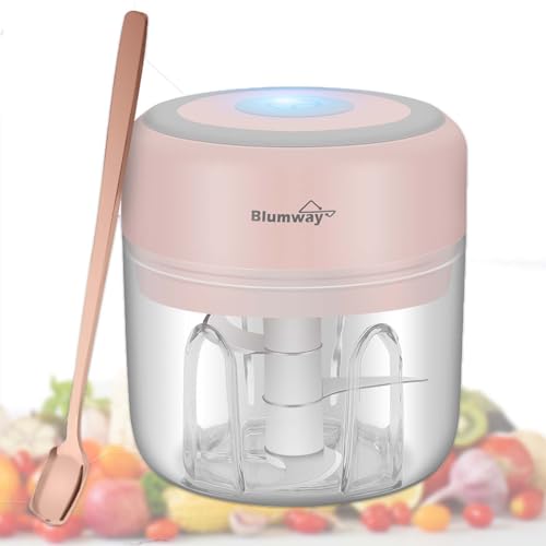 BlumWay 2 Stück Mini Zwiebelschneider, Elektrisch Zerkleinerer Küche Gemüsezerkleinerer Multizerkleinerer mit USB Wiederaufladbare Knoblauchschneider für Babynahrung Fleisch Knoblauch Obst 250 &100ML