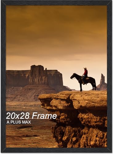 A PLUS MAX 20x28 Picture Frame Black Light Weight Wall Mount