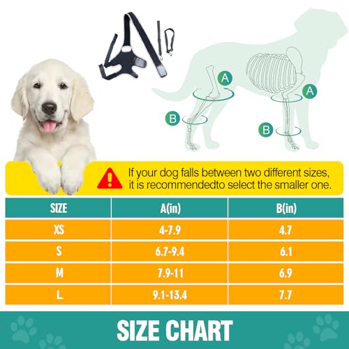 Image of Dog Knee Brace for Torn ACL Hind Leg Support, Adjustable Dog Leg Braces for Back Leg, Cruciate Ligament Injury and Luxating Patella Recovery, Hip Brace for Dogs, Universal for All 4 Legs, L