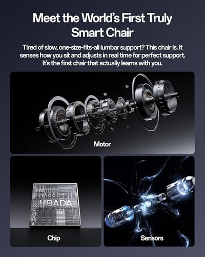 Herman Miller Embody chair