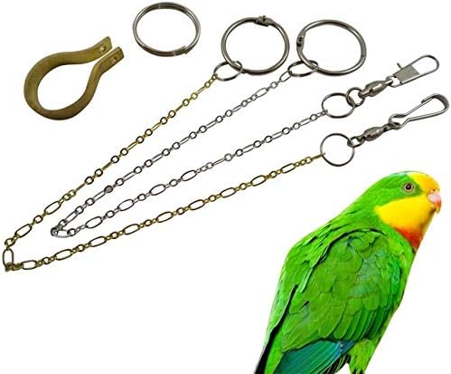 Bird Chain Amazon.com: Parrot Foot Chain for Tiger Peony Medium to Large Parrots ...