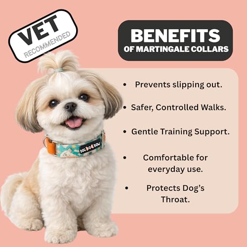 Image of Dog-O-Bow Teal Animal Print Martingale Dog Collar, Durable, Comfortable & Adjustable Training Collar (Large)