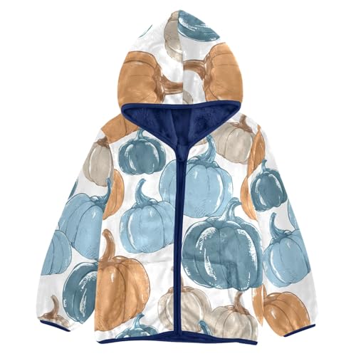 CHIFIGNO Zip up Hoodie for Boys Kids Jacket Toddler Sweatshirt with Pockets for Toddler and Kids